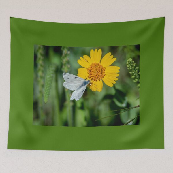 Item preview, Checkered White Butterfly Enjoying Huisache Daisy designed and sold by Debra Martz.