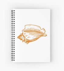 Conch Spiralblock