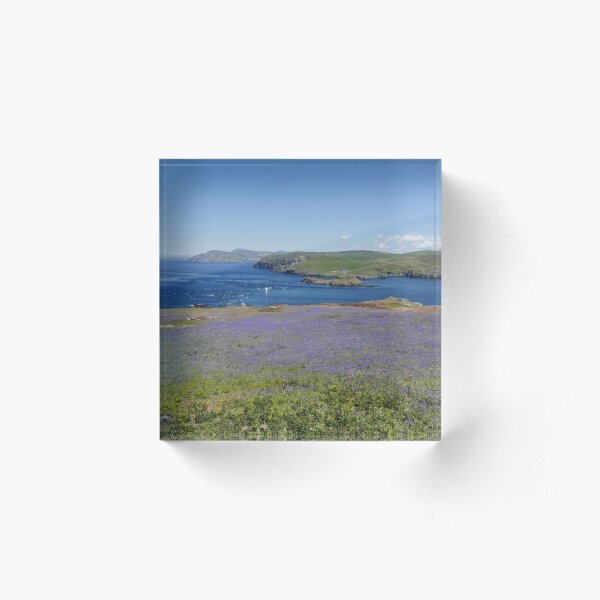 Calf of Man Acrylic Block