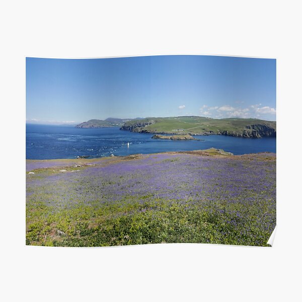 Calf of Man Poster