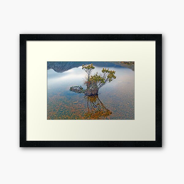 Item preview, Bonsai Reflection designed and sold by tinnieopener.