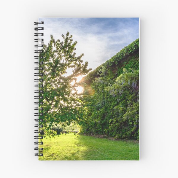 Item preview, Abandoned farm in the countryside of Italy designed and sold by zakaz86.