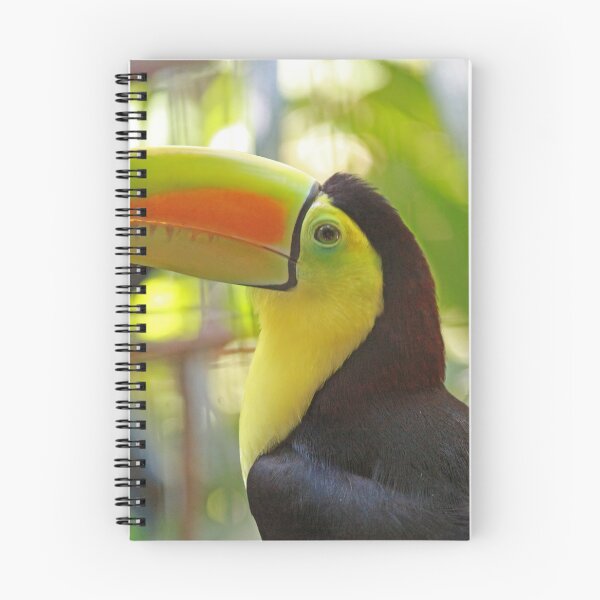 Item preview, Toucan Profile designed and sold by mahindle.