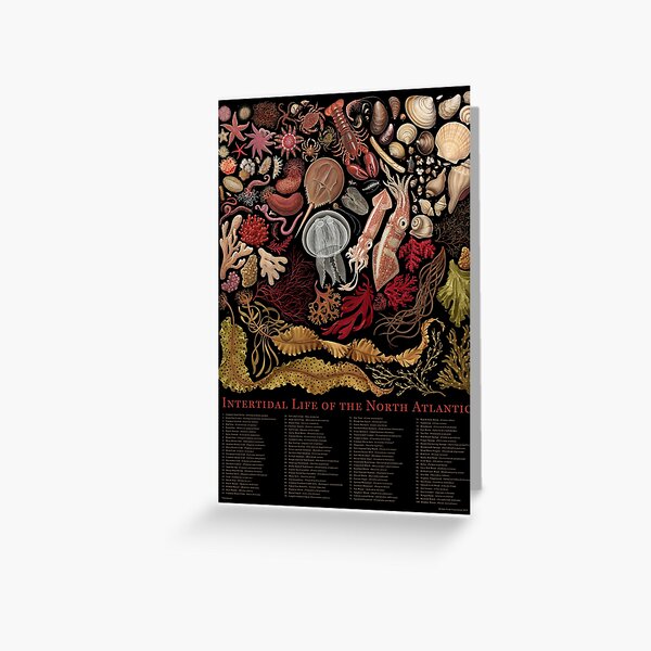 Item preview, Intertidal Life of the North Atlantic designed and sold by JadaFitch.