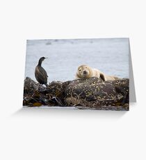 Farne Islands Wildlife Greeting Card