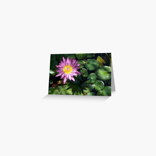 Petals Greeting Card