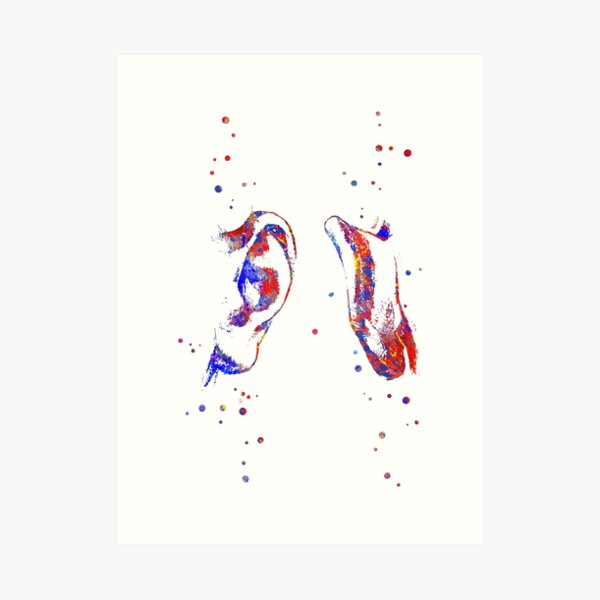 Ear, Ear anatomy Art Print
