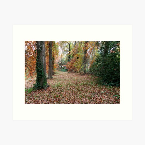 Item preview, ~ Autumn's Way ~ designed and sold by LeeoPhotography.