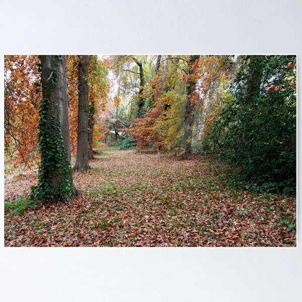 Item preview, ~ Autumn's Way ~ designed and sold by LeeoPhotography.