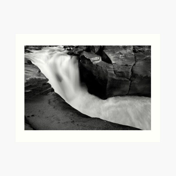 Mahuia Rapid Art Print