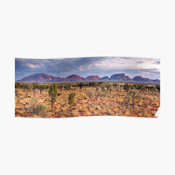 The Olgas (Kata Tjuta), Northern Territory, Australia Poster
