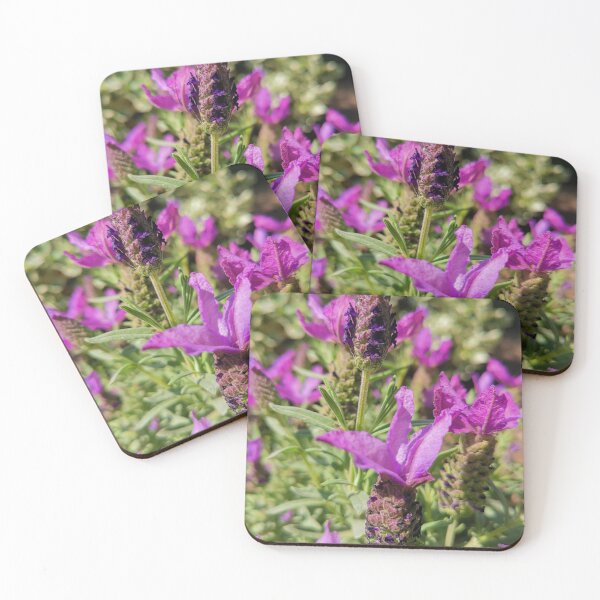 Item preview, Blooming lavender gift designed and sold by Sandra78.