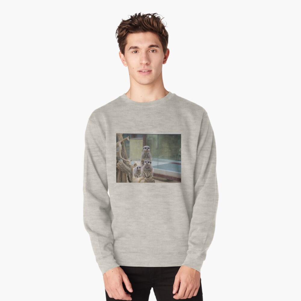 Item preview, Pullover Sweatshirt designed and sold by santoshputhran.