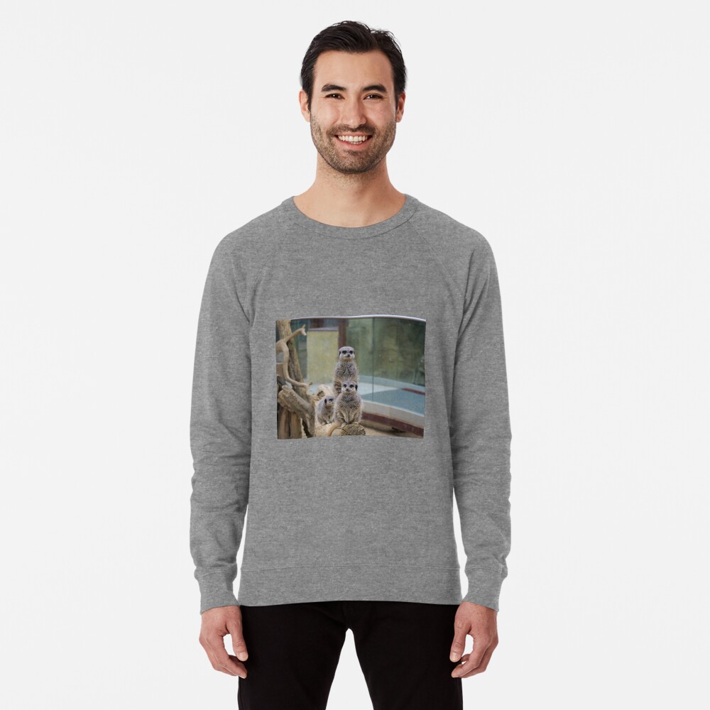 Item preview, Lightweight Sweatshirt designed and sold by santoshputhran.