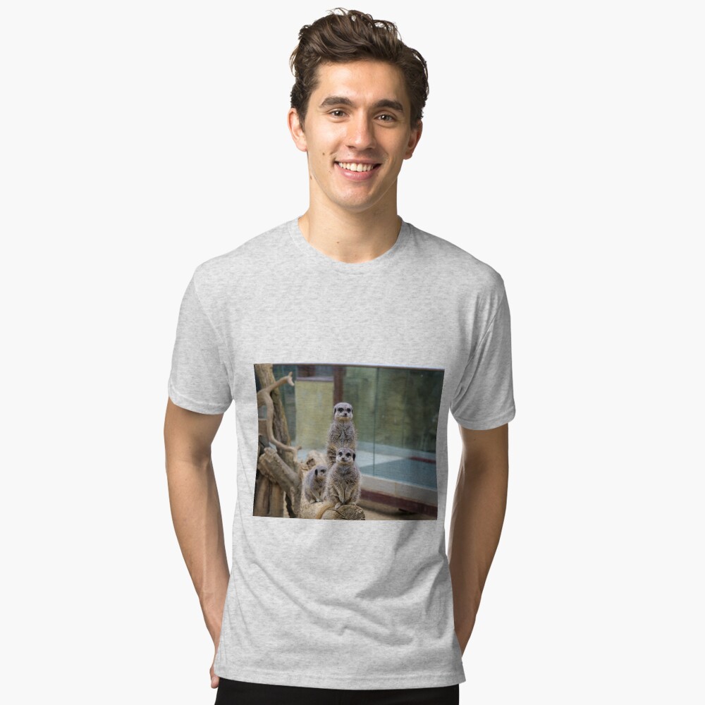 Item preview, Tri-blend T-Shirt designed and sold by santoshputhran.
