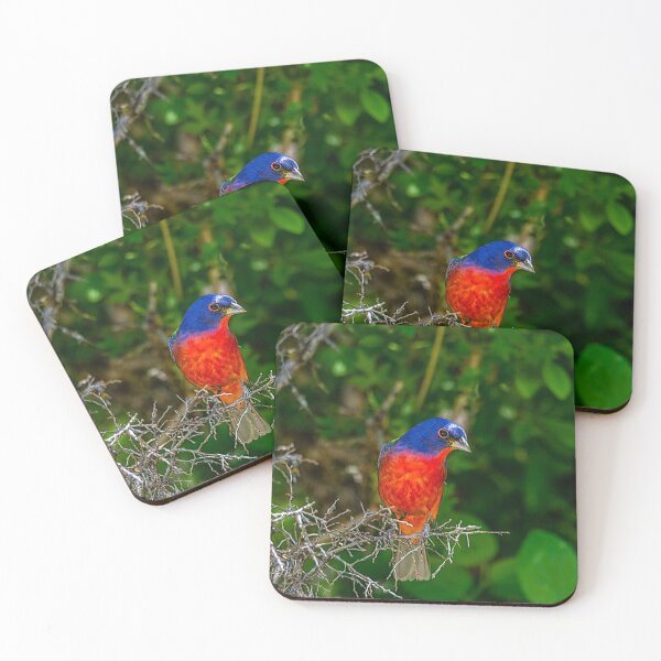 Item preview, Colorful Painted Bunting -Painterly designed and sold by Debra Martz.