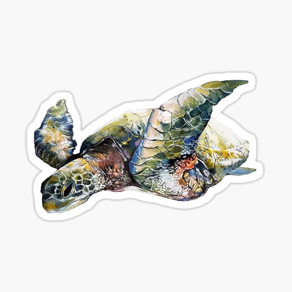 Green turtle Sticker
