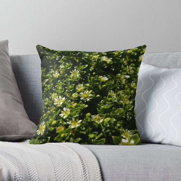 Sea Sandwort (Honckenya peploides) Throw Pillow
