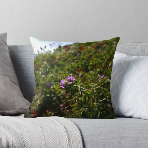Throw Pillow