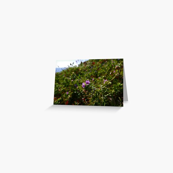 Greeting Card