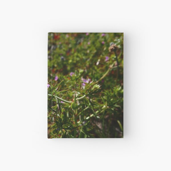 Hardcover Journal