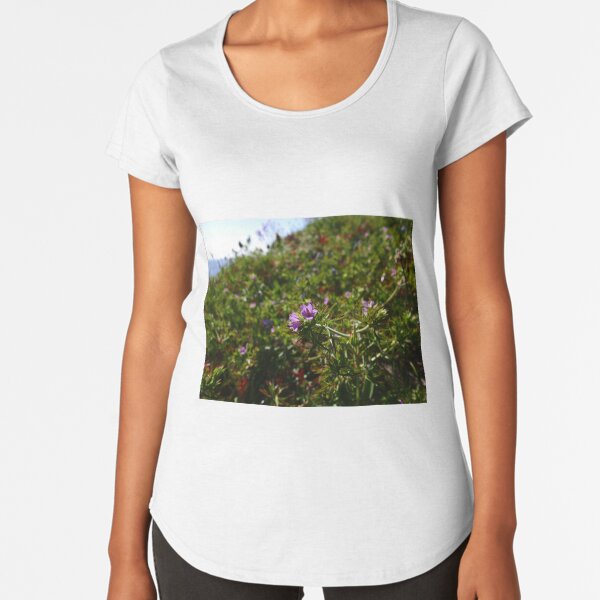 Premium Scoop T-Shirt