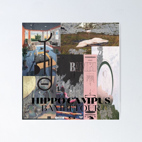 Item preview, Hippo Campus Album and EP Art designed and sold by abigailwarren.
