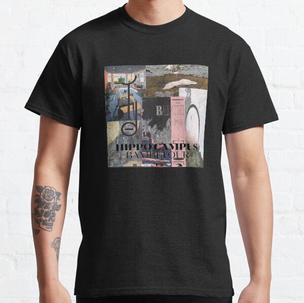 Hippo Campus Album and EP Art Classic T-Shirt