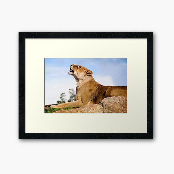 King Of The Hill Framed Art Print