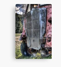 Grilled Canvas Print