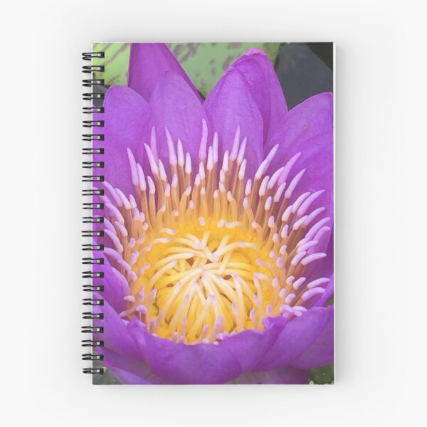 Item preview, Water Lilly Flower Photographic Print designed and sold by JDMHoney.