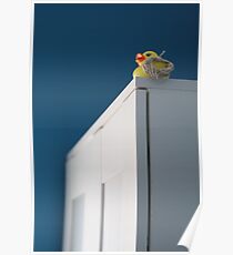 Mountaineering Poster