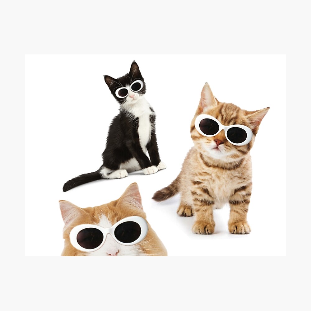 clout goggles cat