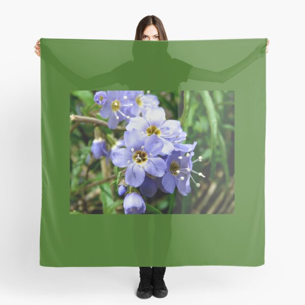Montana Blue Forget-Me-Not Wildflowers Scarf