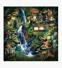 Mushroom Village Photographic Print