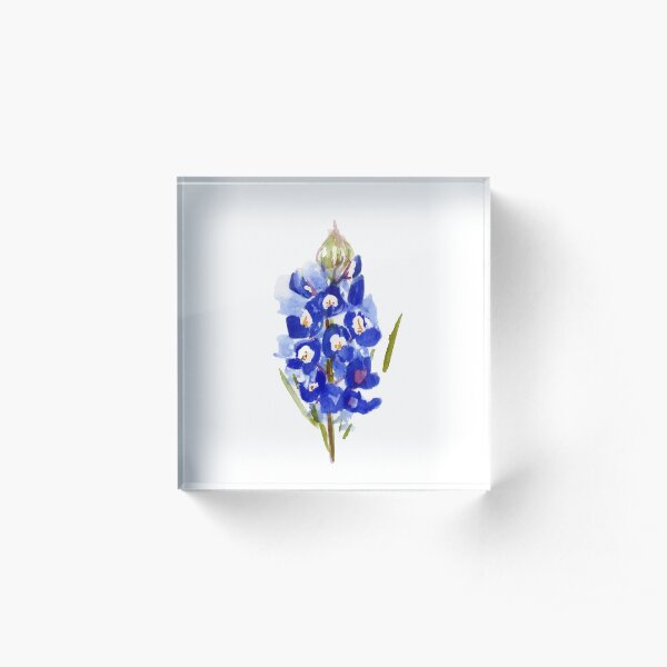 Bluebonnet Watercolor Illustration Texas State Flower Acrylic Block