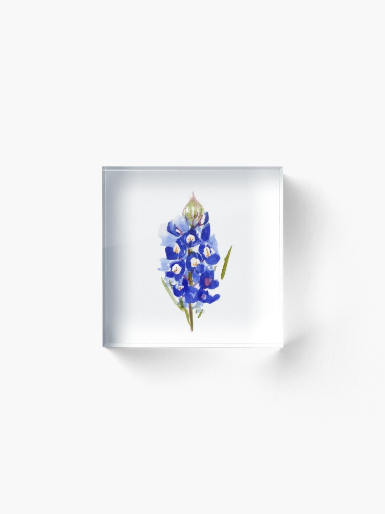 Alternate view of Bluebonnet Watercolor Illustration Texas State Flower Acrylic Block