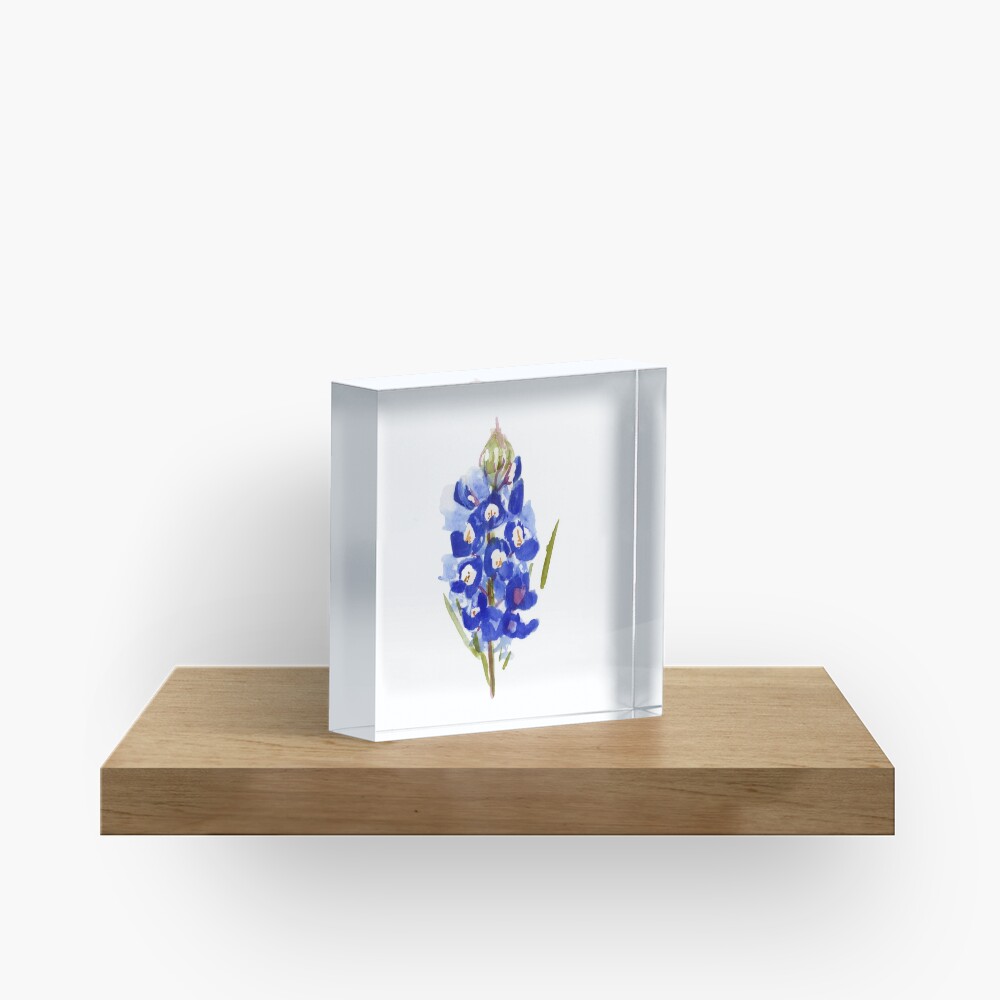 Bluebonnet Watercolor Illustration Texas State Flower Acrylic Block