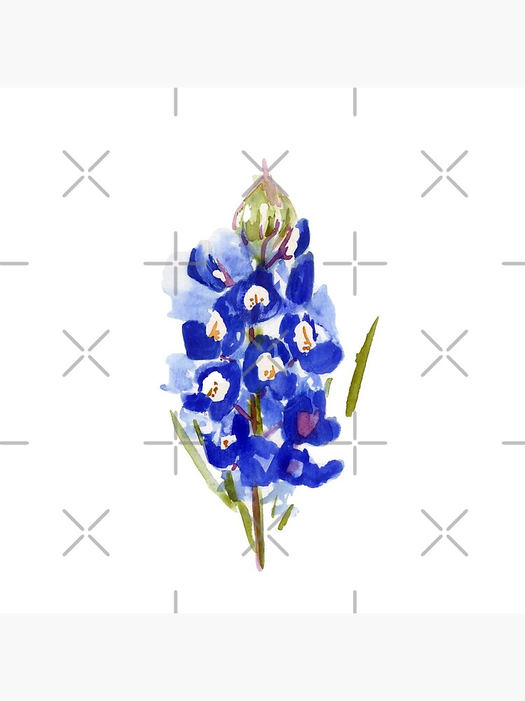 Bluebonnet Watercolor Illustration Texas State Flower by ImageNugget
