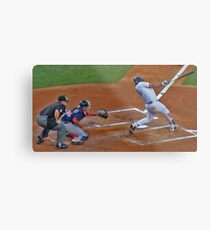#25 Teixeria Metal Print
