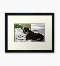 Maxwell Smart Framed Print