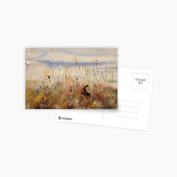 Daylight Search Postcard