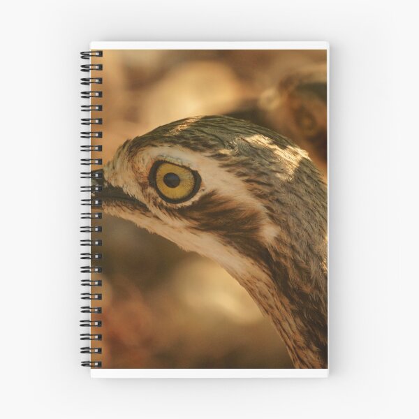 Item preview, Bush Stone Curlew designed and sold by D-GaP.