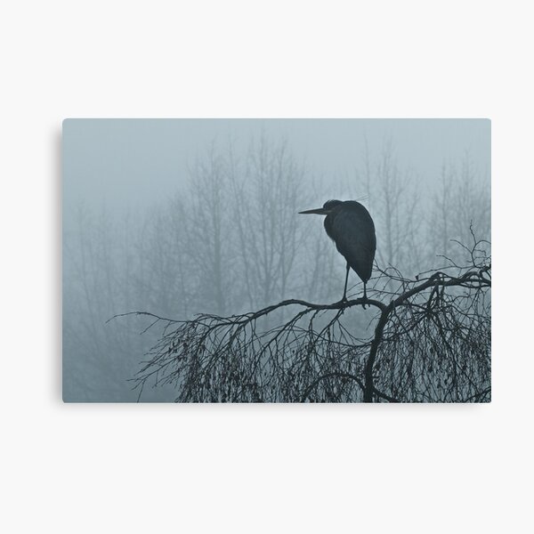 Foggy Great Blue Heron Canvas Print