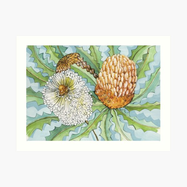 Banksia Art Print