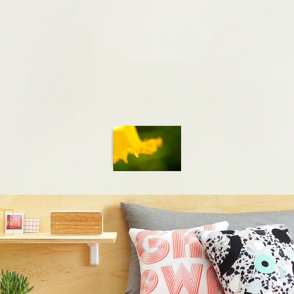 Item preview, Photographic Print designed and sold by iltby.