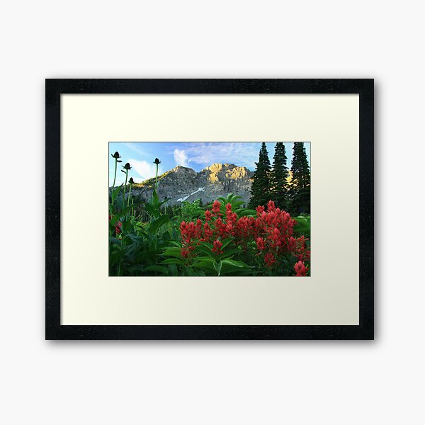 Devil's Castle Wildflowers Framed Art Print