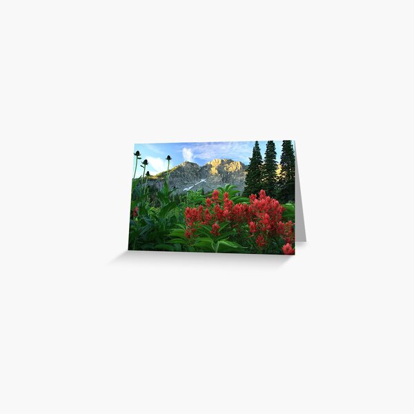 Devil's Castle Wildflowers Greeting Card