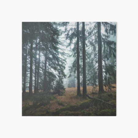 Deep In The Woods Art Board Print