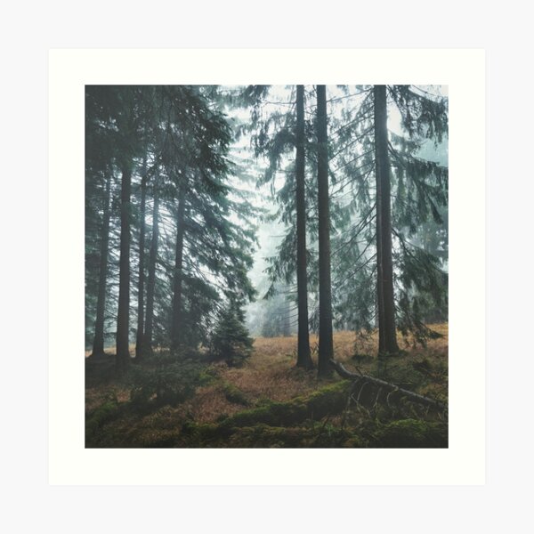 Deep In The Woods Art Print